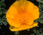 Unit 1 What's in your room?